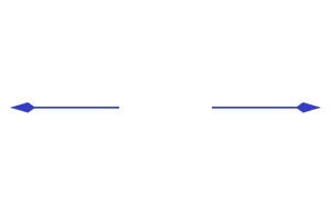 Bayside Bull Catering