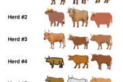 Have you herd