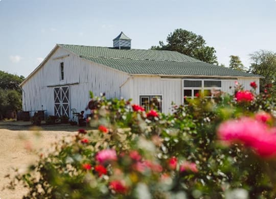 Jubilee Farm & Vineyard